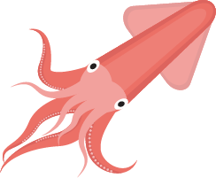 Squid PNG-47199
